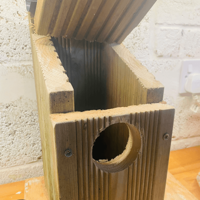 Bird house