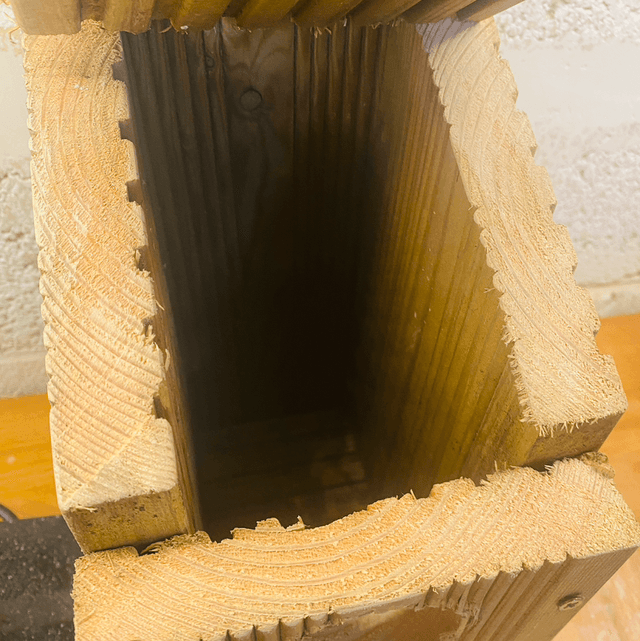 Bird house