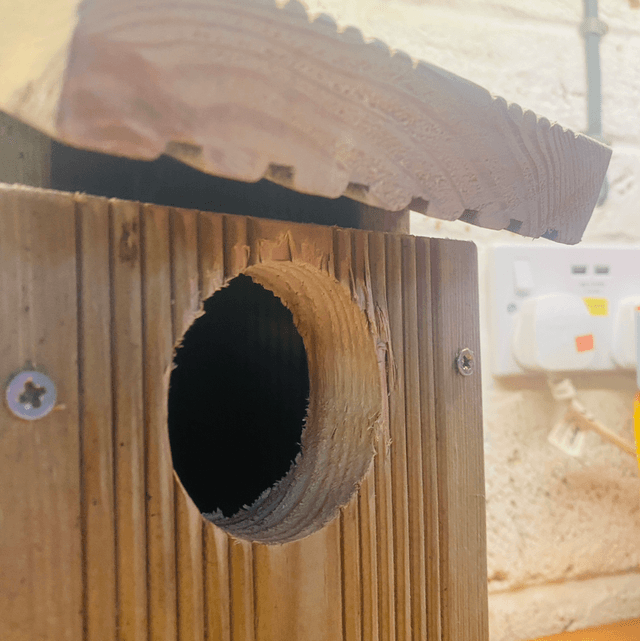 Bird house