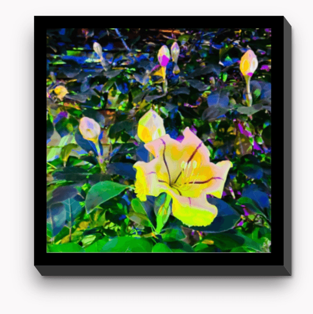 Dramatic flowers